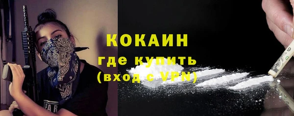 шишки Лиски