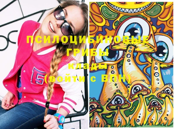 шишки Лиски