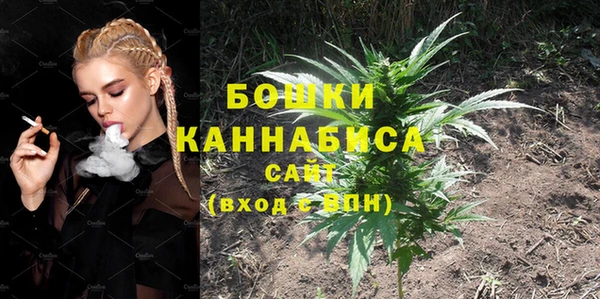 эйфоретик Липки